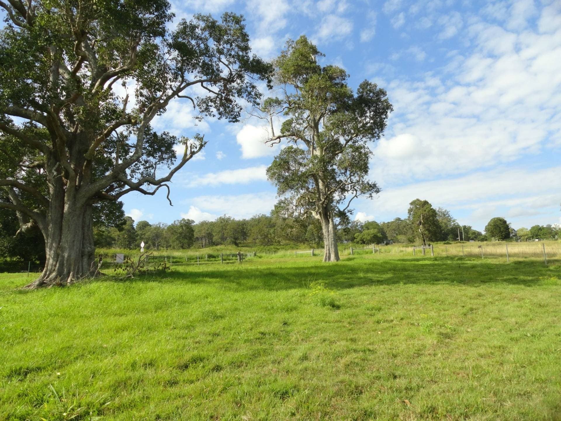 Lot 12 Afterlee Road, Kyogle - Thumbnail 3