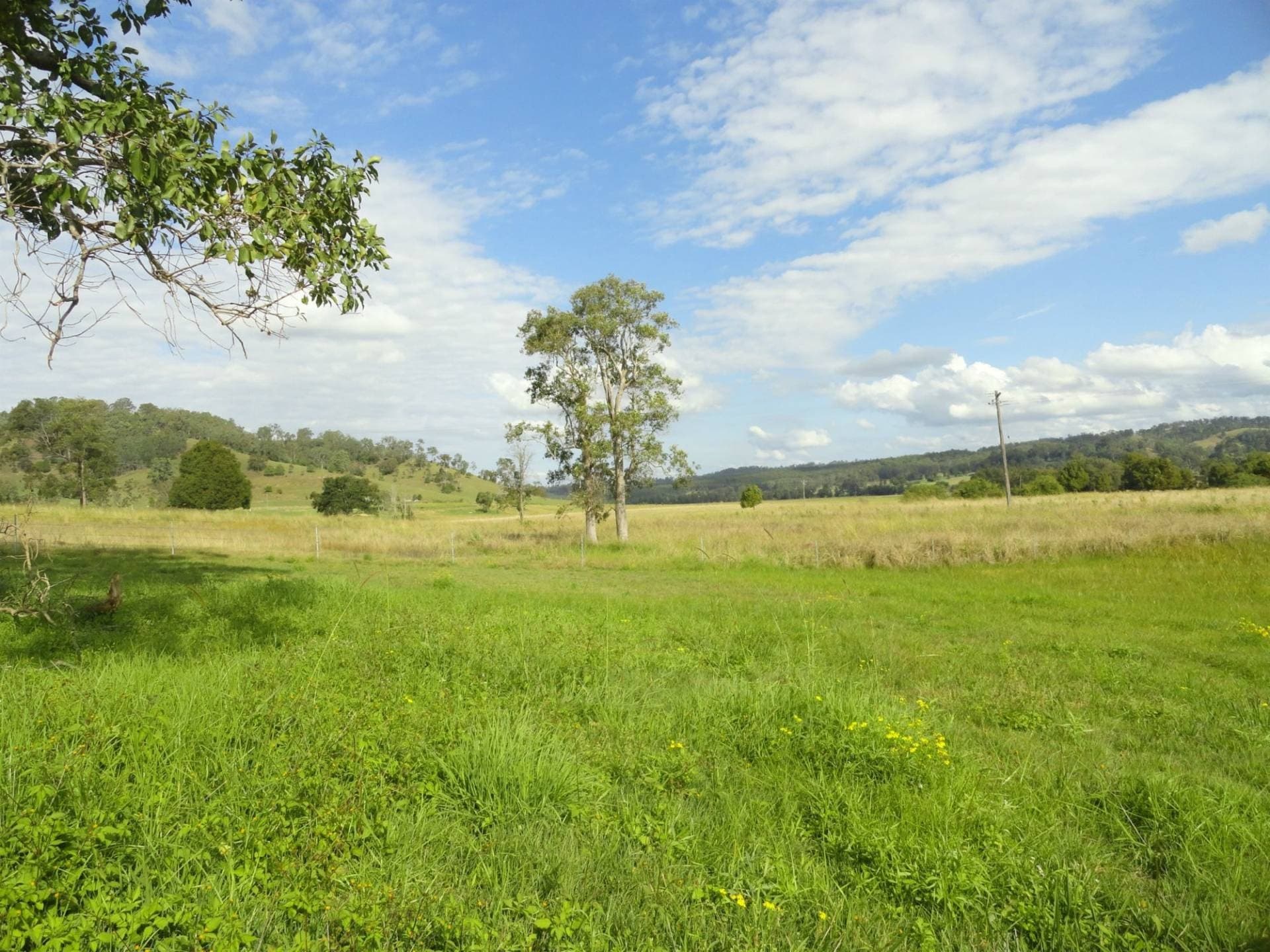 Lot 12 Afterlee Road, Kyogle - Thumbnail 4