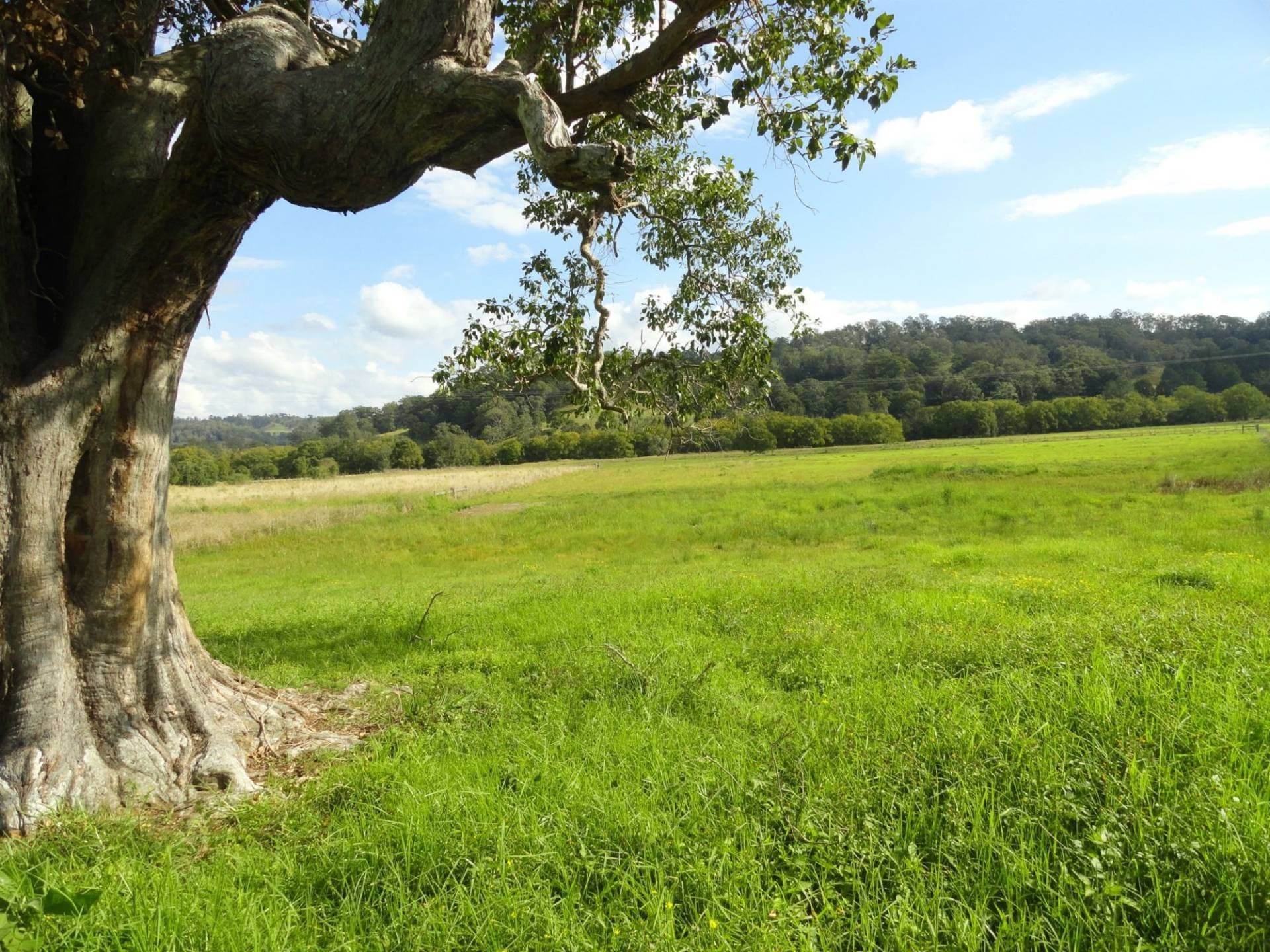 Lot 12 Afterlee Road, Kyogle - Thumbnail 5
