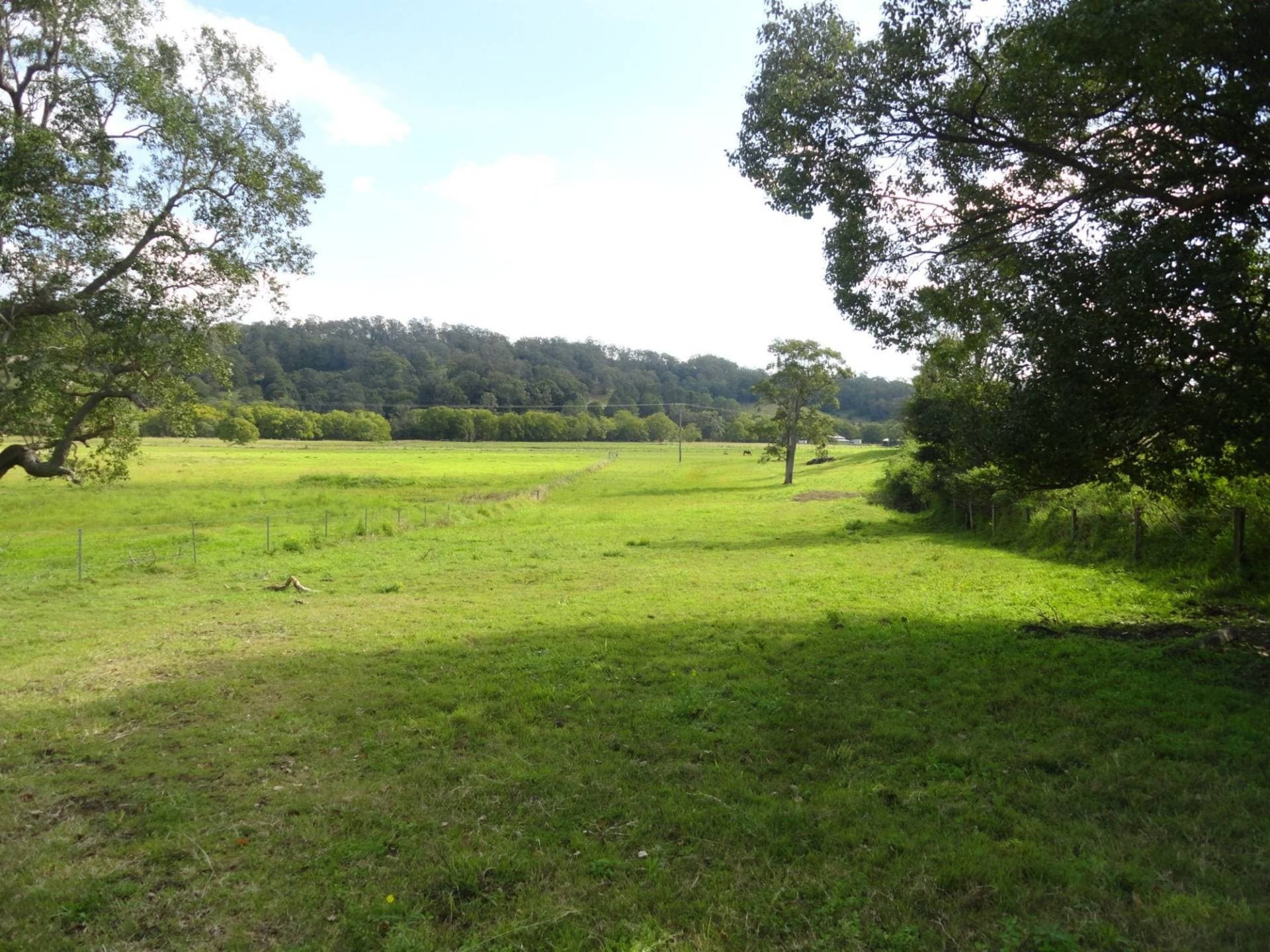 Lot 11 Afterlee Road, Kyogle - Thumbnail 2