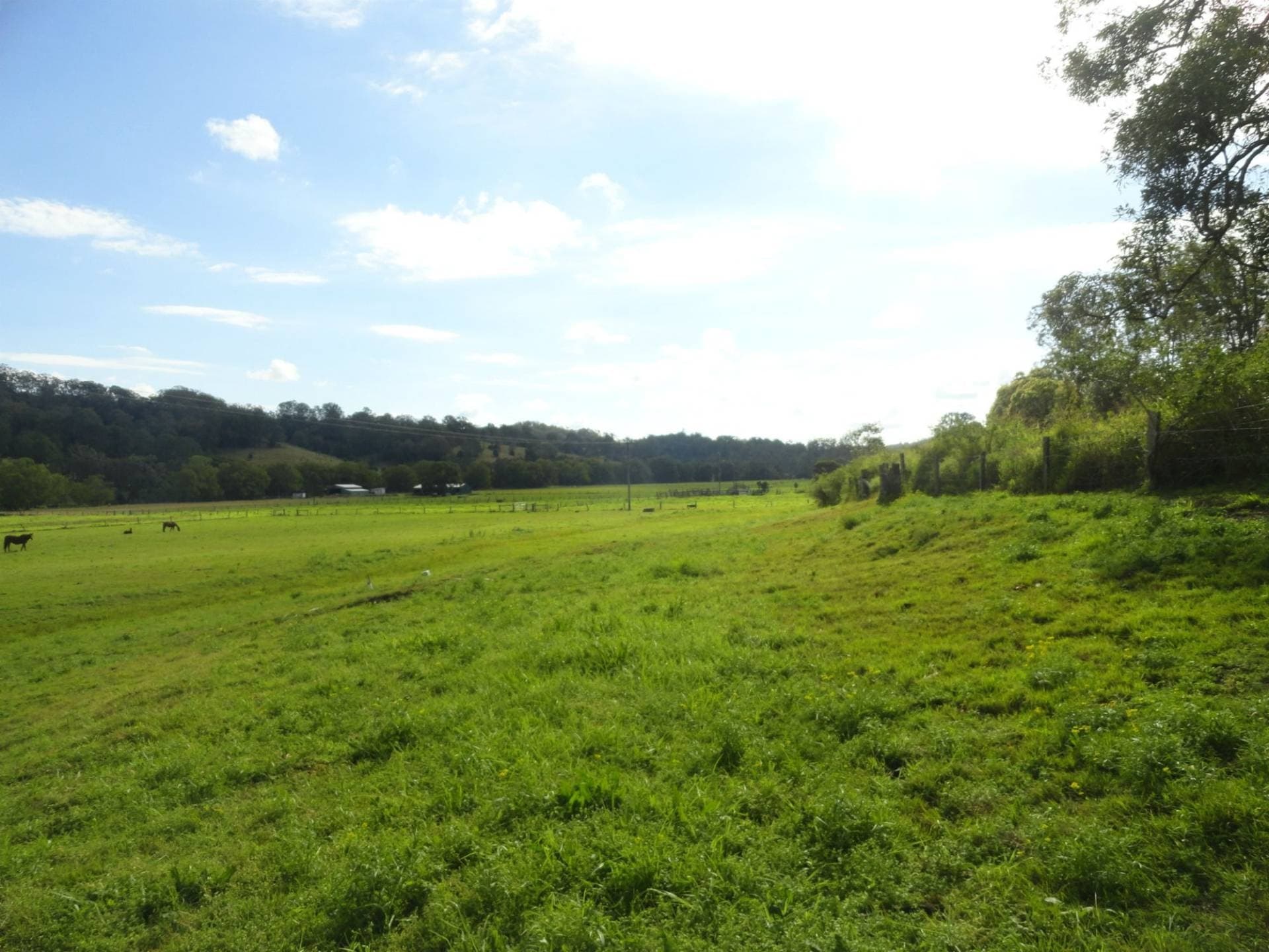 Lot 11 Afterlee Road, Kyogle - Thumbnail 3