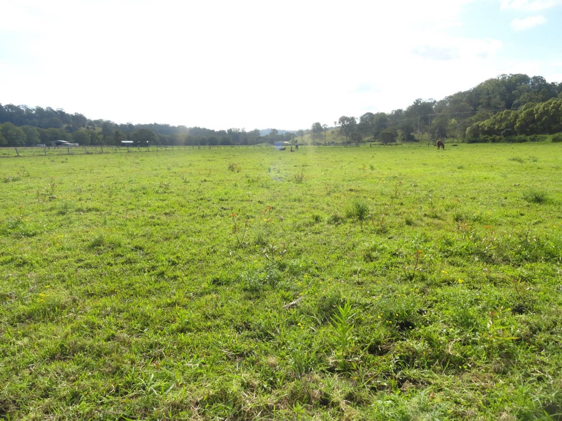 Lot 11 Afterlee Road, Kyogle - Thumbnail 4