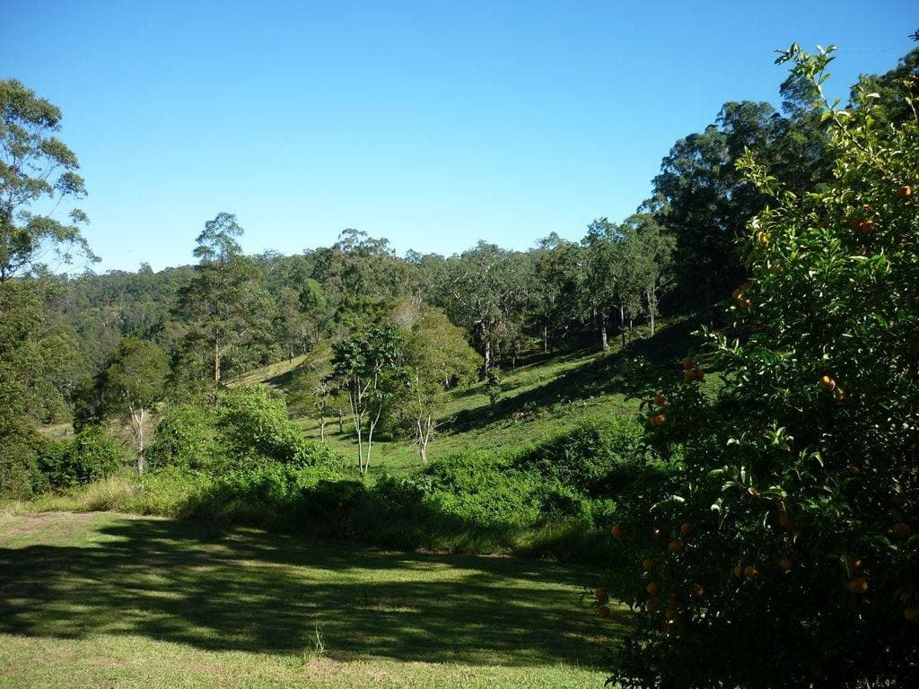 Lot 35 Boorabee Creek Road, Kyogle - Image 1