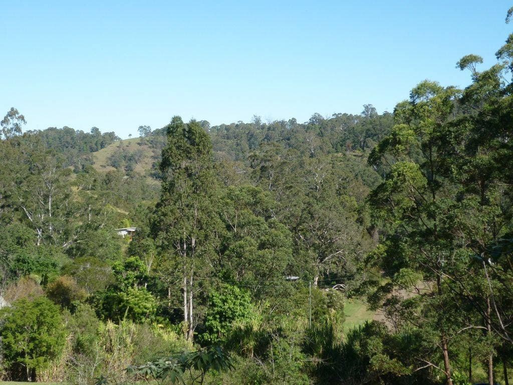 Lot 35 Boorabee Creek Road, Kyogle - Thumbnail 5