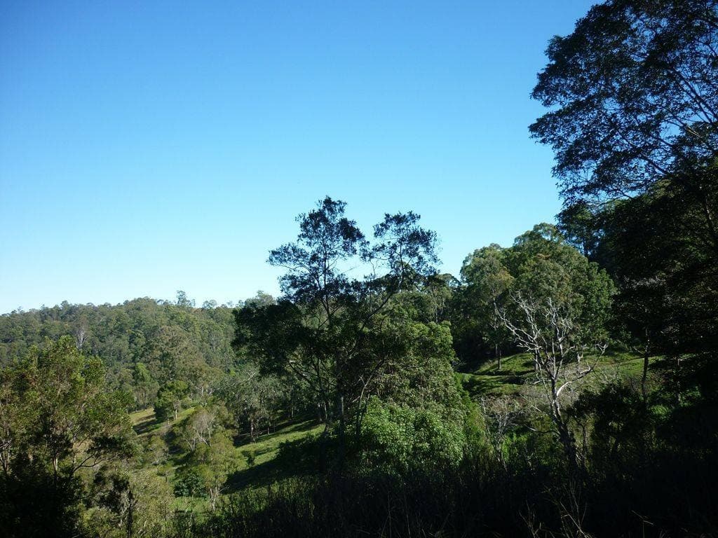 Lot 35 Boorabee Creek Road, Kyogle - Thumbnail 8