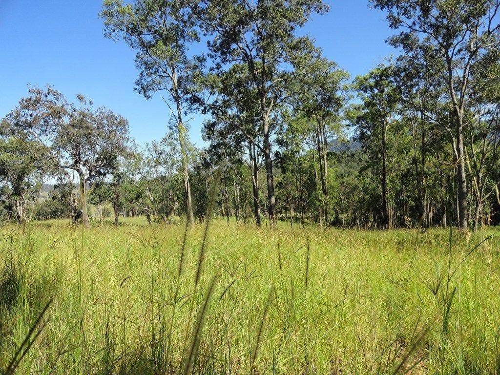Lot 3 Green Pigeon Road, Kyogle - Image 1