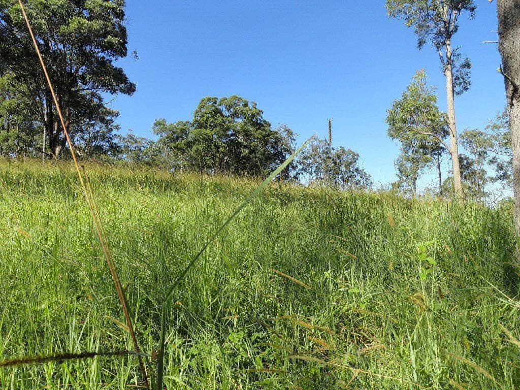 Lot 3 Green Pigeon Road, Kyogle - Thumbnail 2