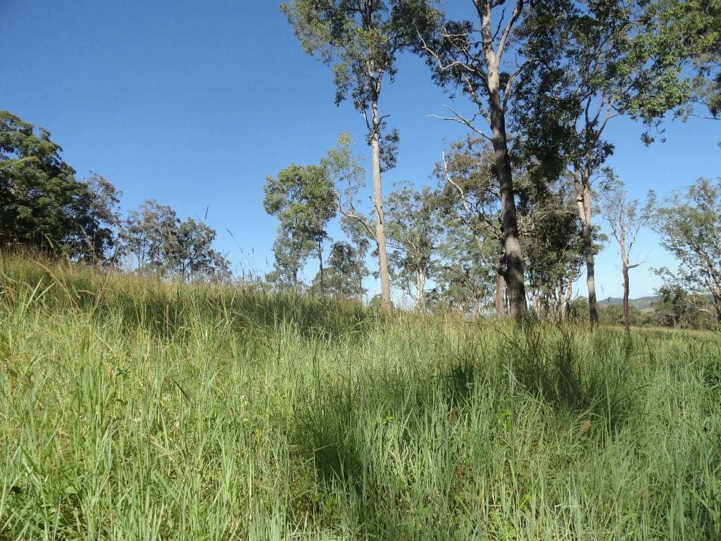 Lot 3 Green Pigeon Road, Kyogle - Thumbnail 3