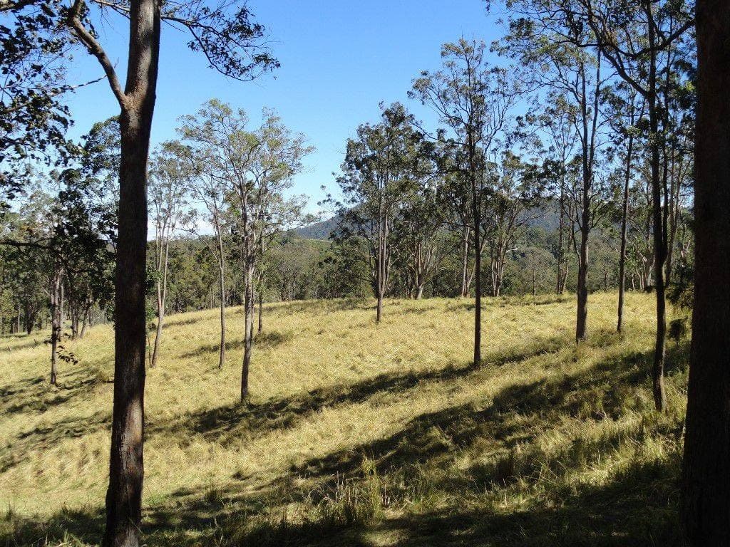 Lot 3 Green Pigeon Road, Kyogle - Thumbnail 5