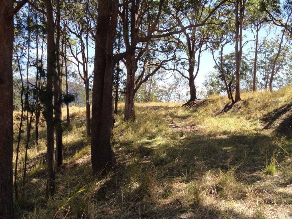 Lot 3 Green Pigeon Road, Kyogle - Thumbnail 6