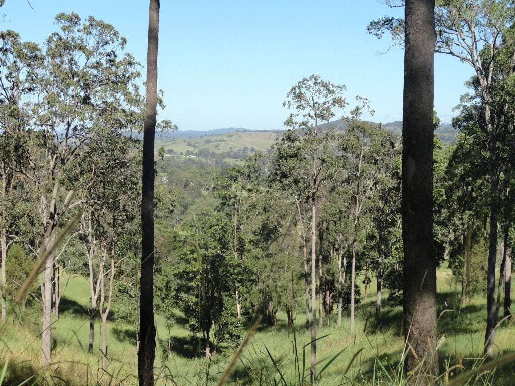 Lot 3 Green Pigeon Road, Kyogle - Thumbnail 7