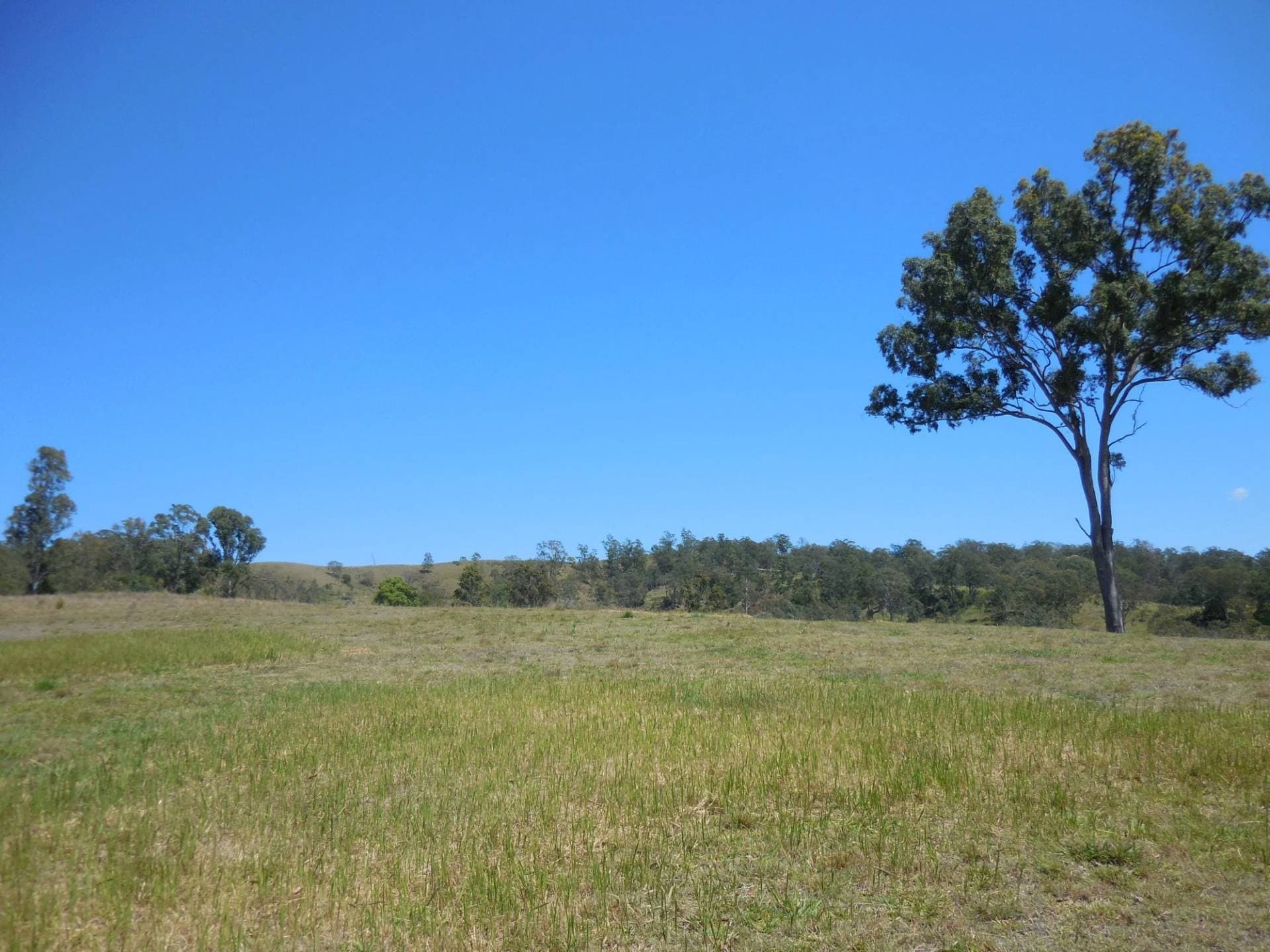 461 Dunns Road, Kyogle - Image 1