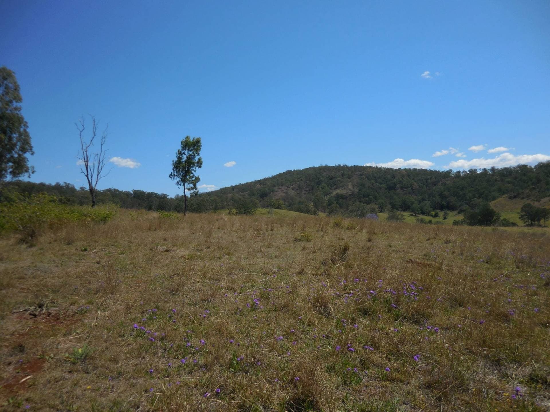 461 Dunns Road, Kyogle - Thumbnail 4