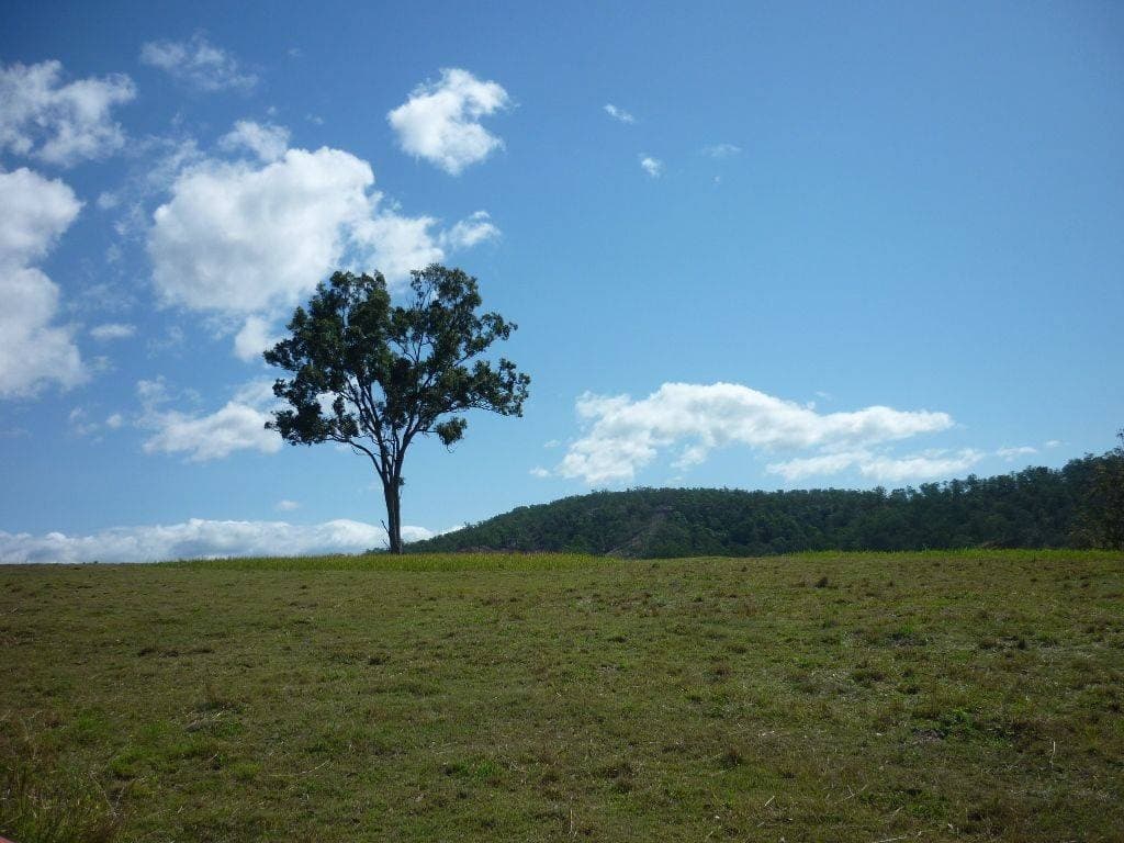 461 Dunns Road, Kyogle - Thumbnail 5