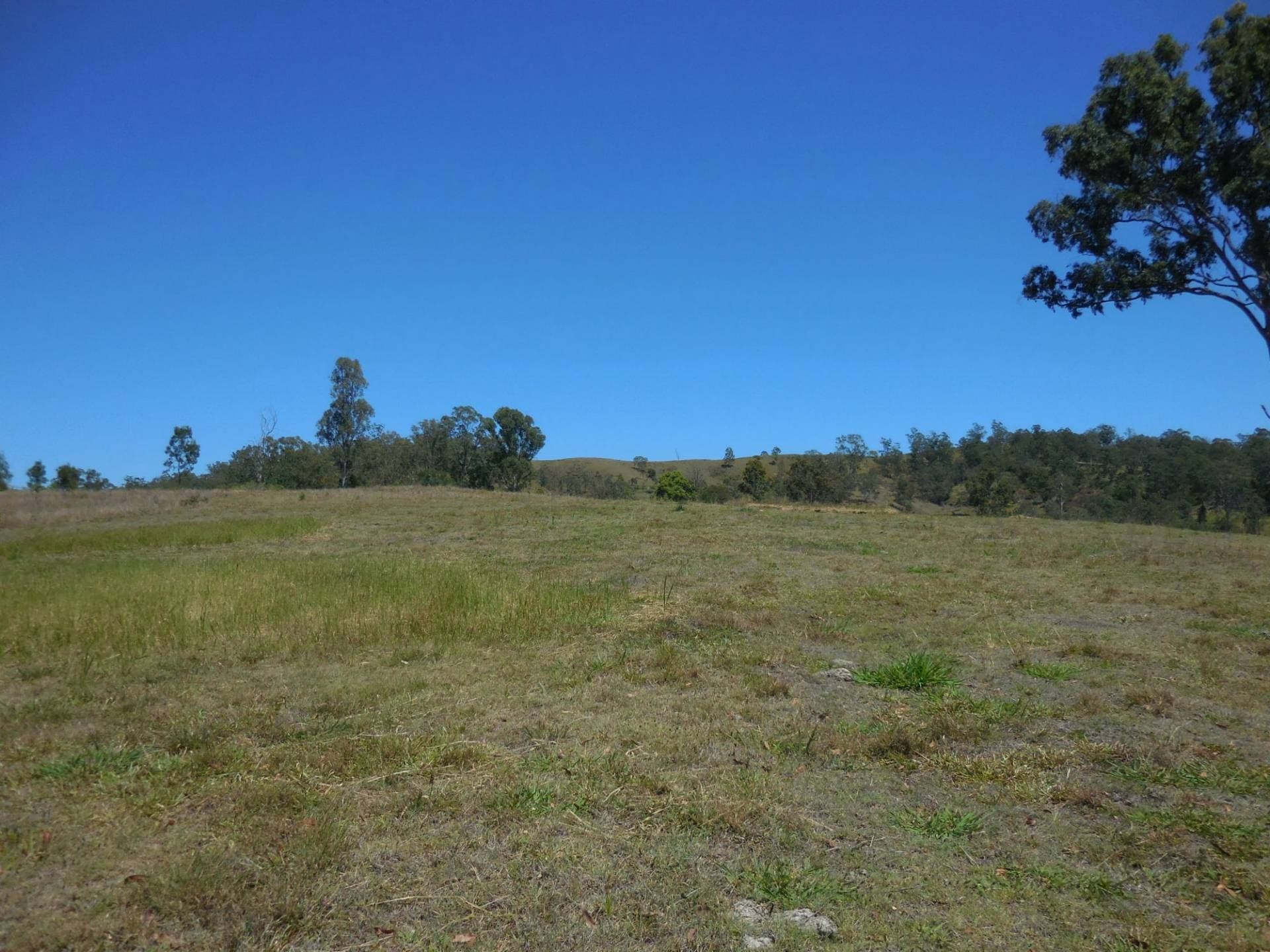 461 Dunns Road, Kyogle - Thumbnail 8