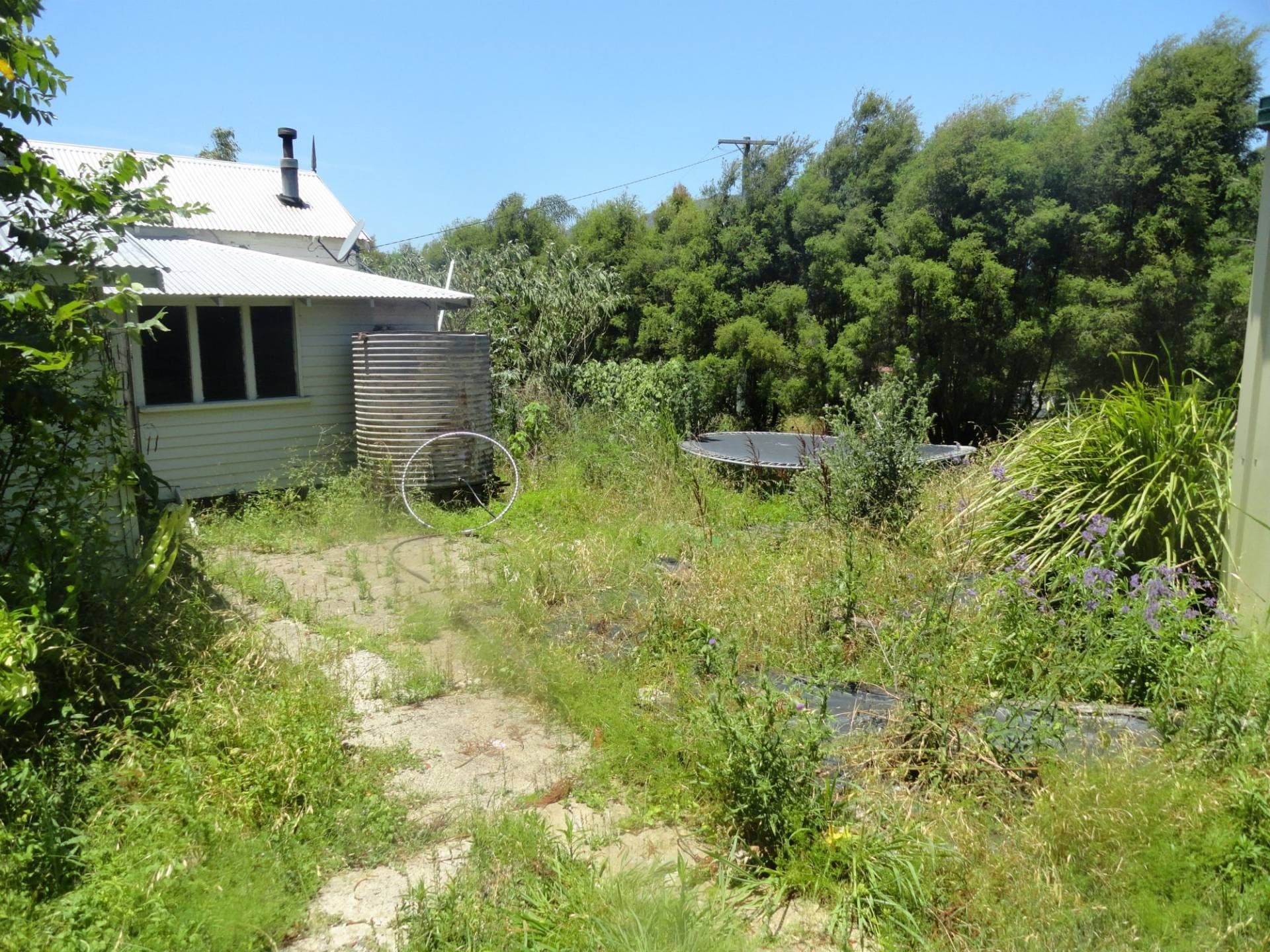 1351 Gradys Creek Road, Kyogle - Thumbnail 3
