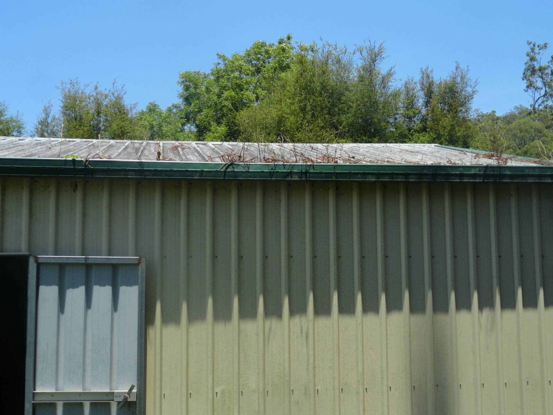 1351 Gradys Creek Road, Kyogle - Thumbnail 6