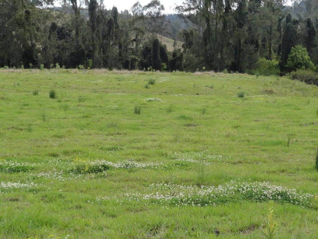 123 Iron Pot Creek Road, Kyogle - Image 1