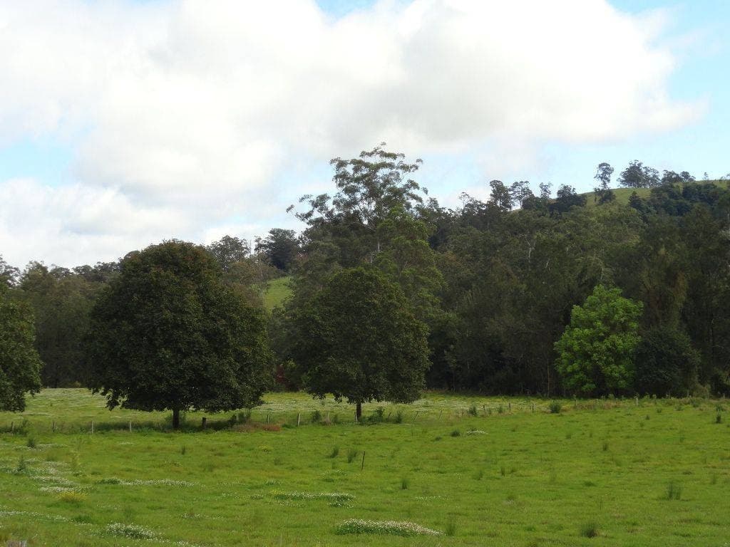 123 Iron Pot Creek Road, Kyogle - Thumbnail 3
