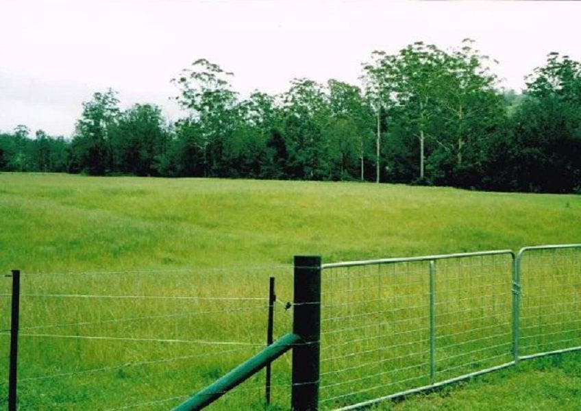 123 Iron Pot Creek Road, Kyogle - Thumbnail 5