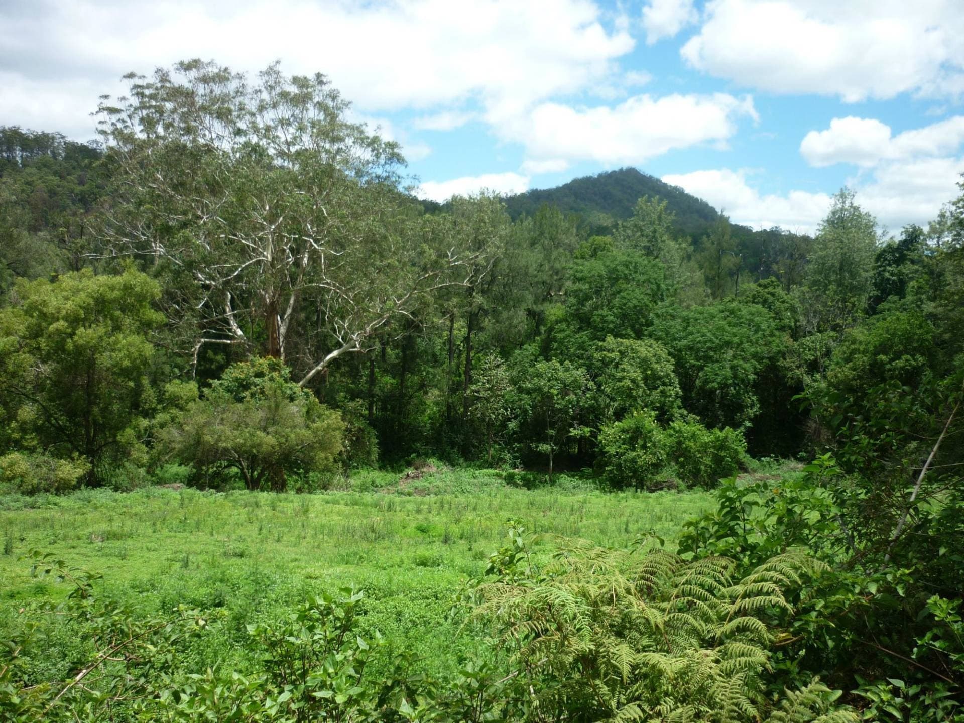 381 Warra Warra Lane, Kyogle - Thumbnail 3
