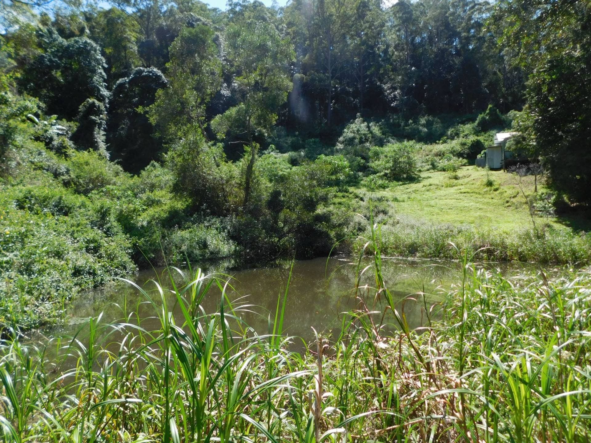 Lot 35 Boorabee St, Kyogle - Thumbnail 2