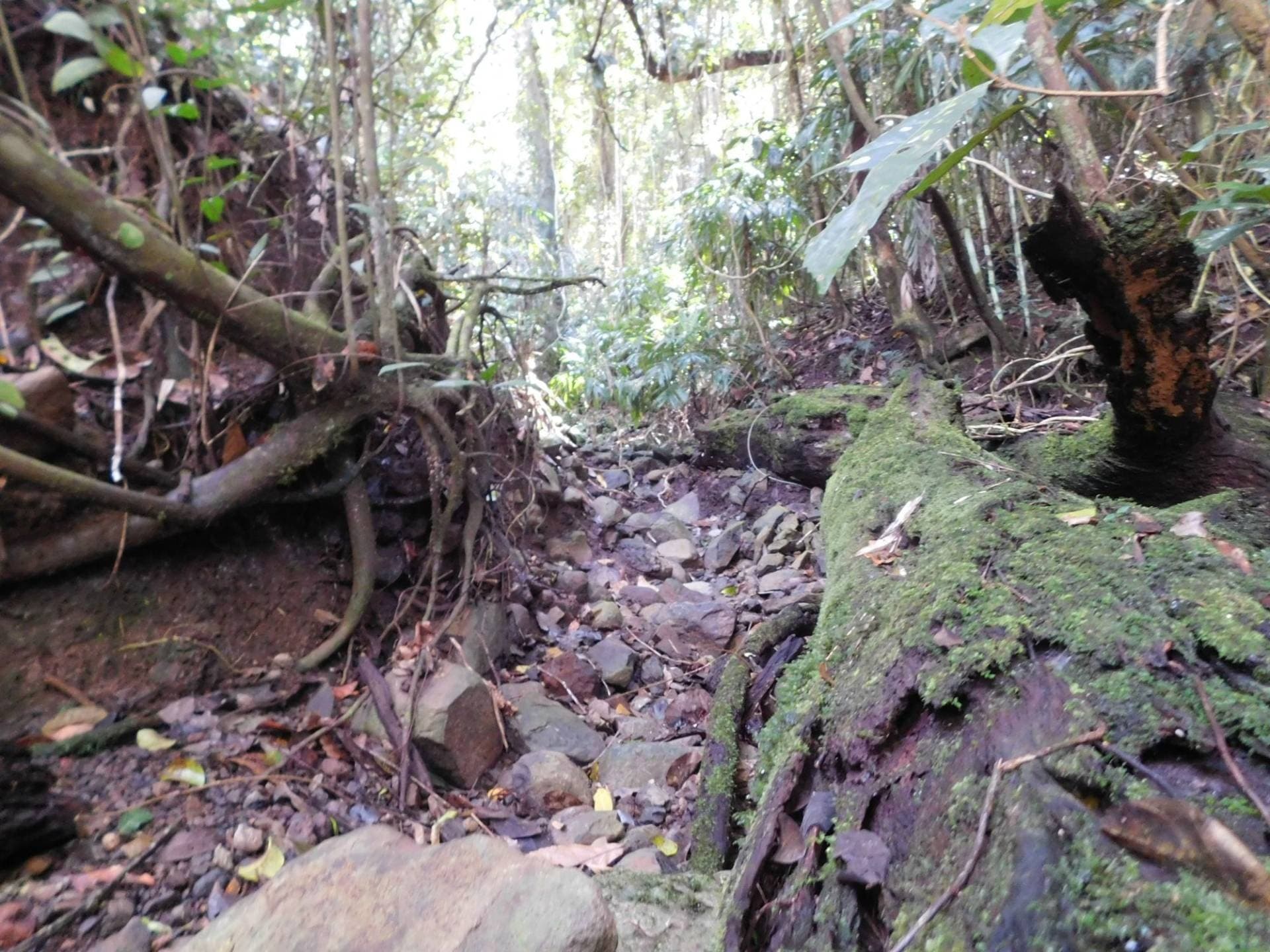 Lot 35 Boorabee St, Kyogle - Thumbnail 4