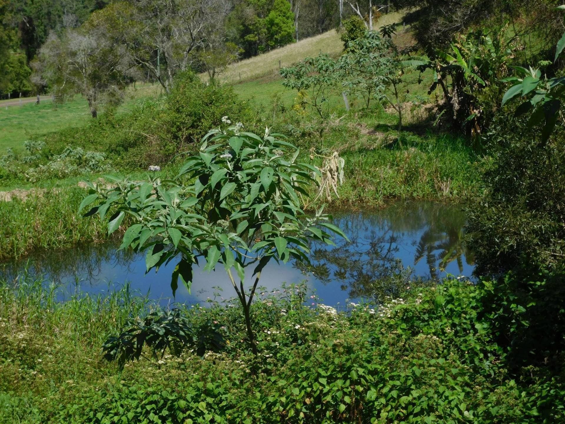 Lot 35 Boorabee St, Kyogle - Thumbnail 5