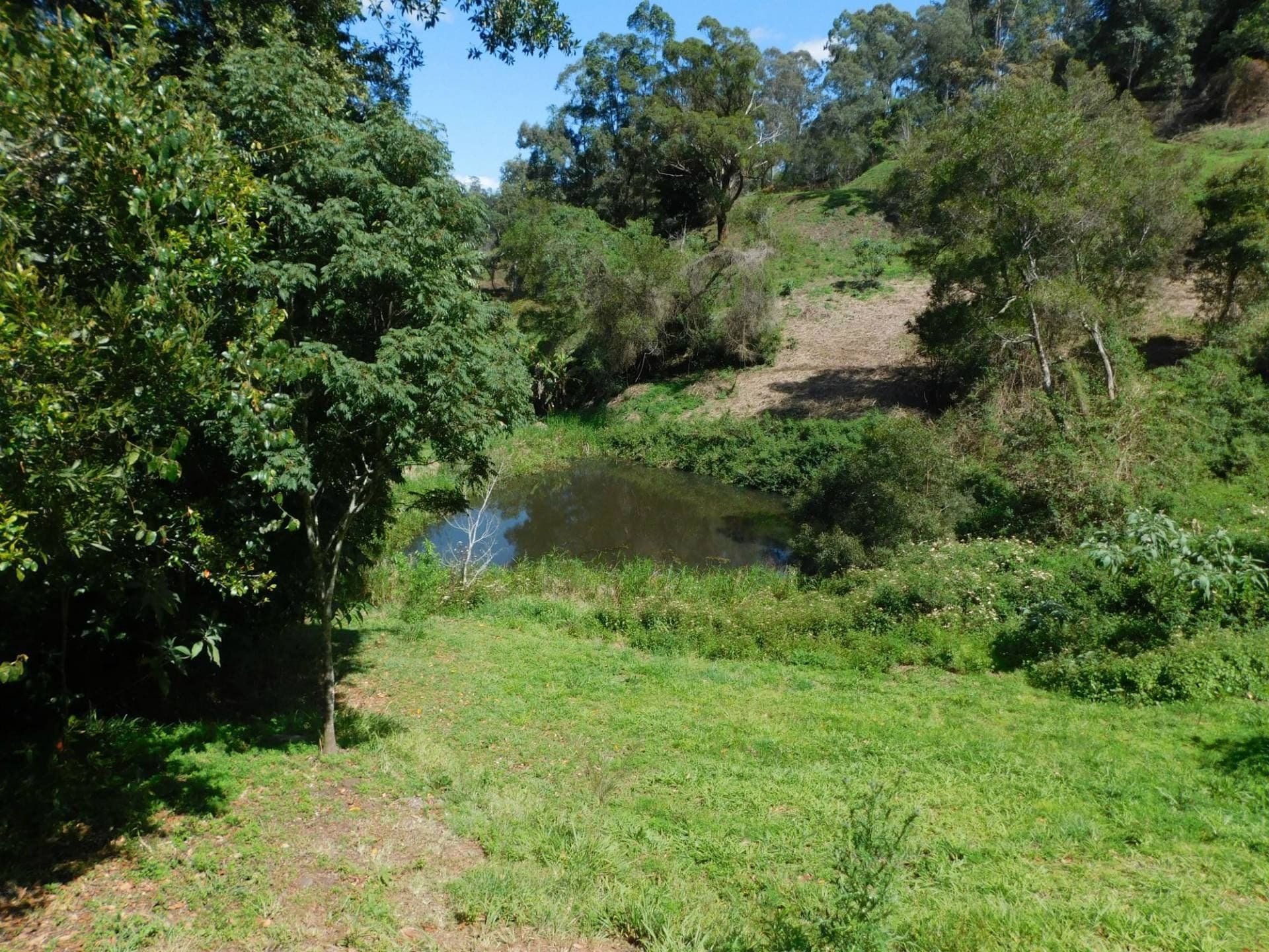 Lot 35 Boorabee St, Kyogle - Thumbnail 8