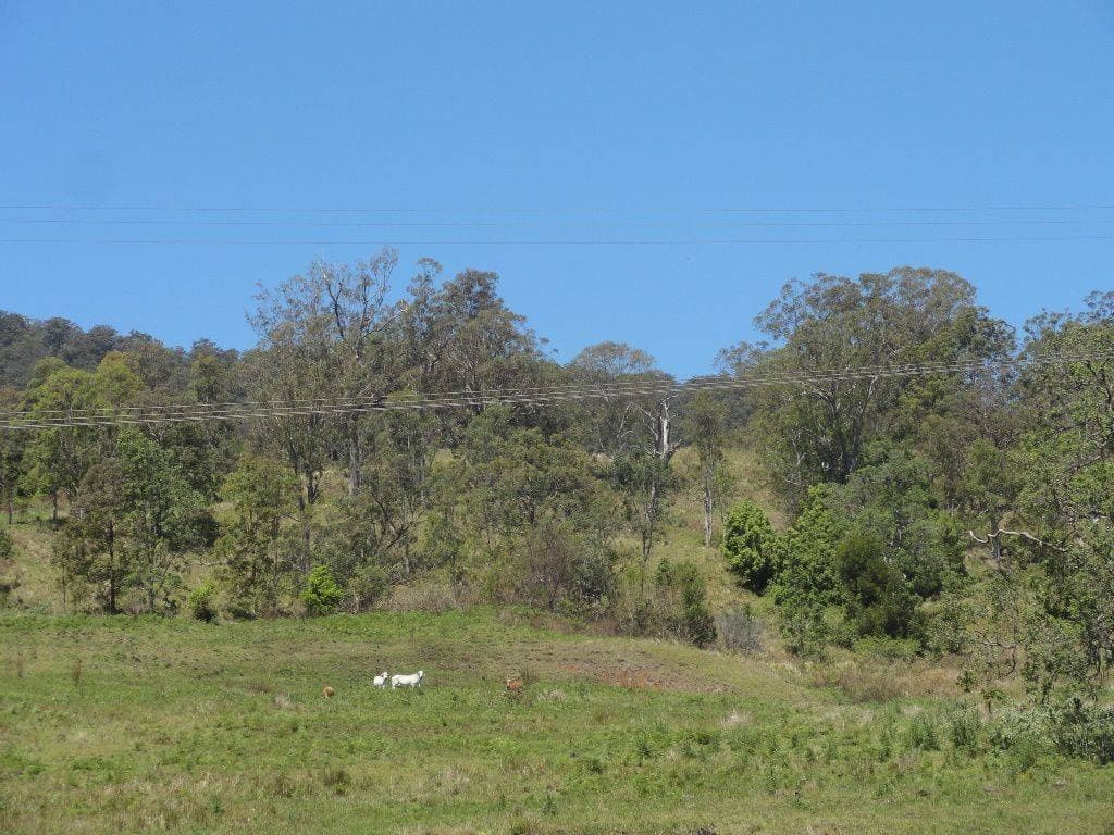 850B Green Pigeon Road, Kyogle - Thumbnail 3
