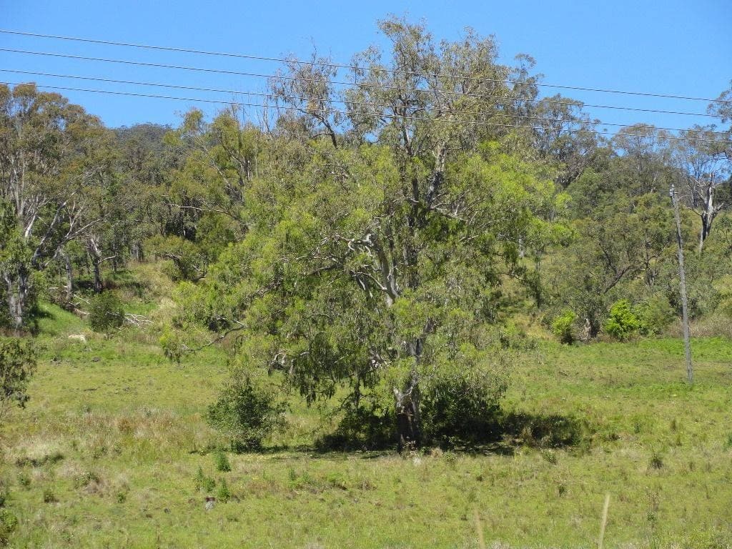 850B Green Pigeon Road, Kyogle - Thumbnail 5