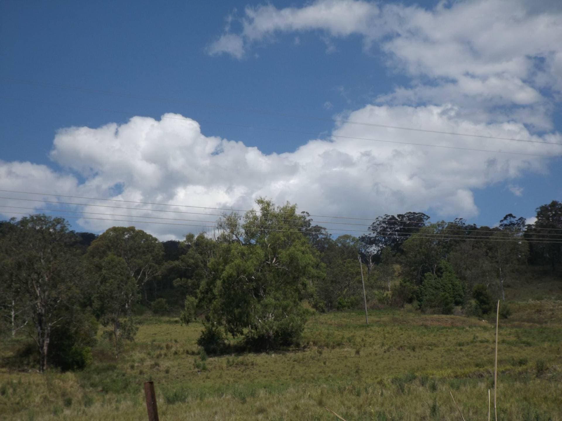 850B Green Pigeon Road, Kyogle - Thumbnail 6