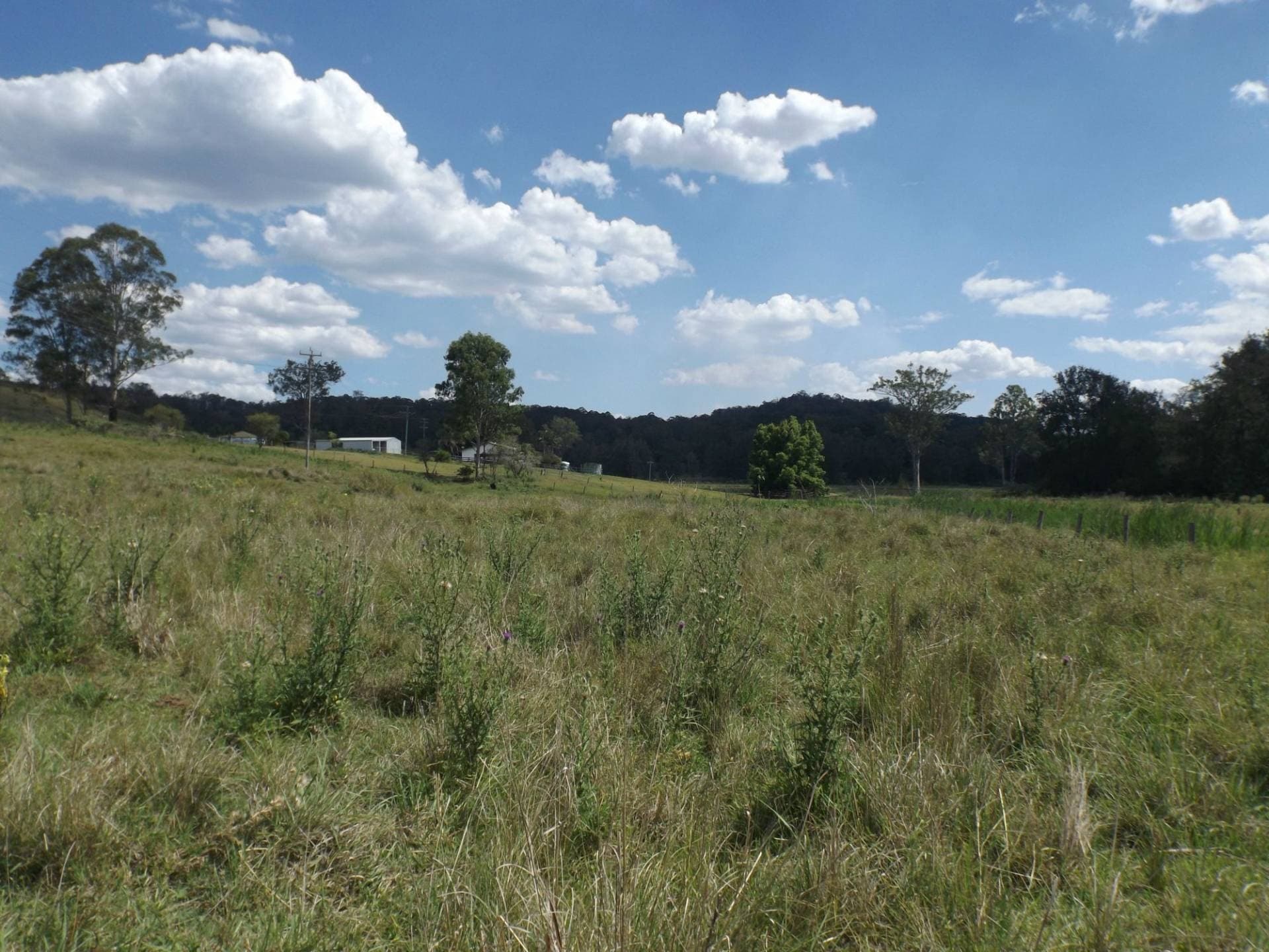 850B Green Pigeon Road, Kyogle - Thumbnail 7