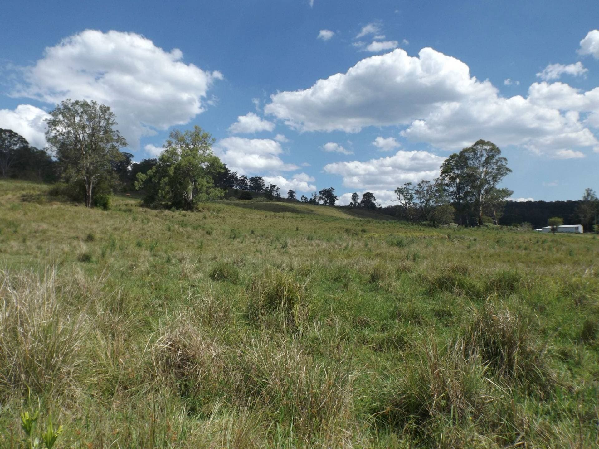 850B Green Pigeon Road, Kyogle - Thumbnail 8