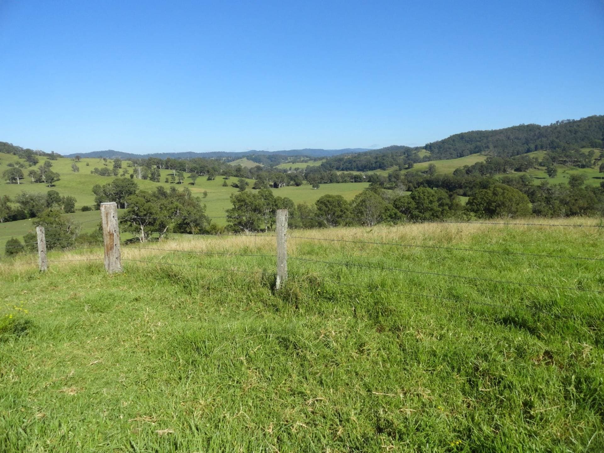 93 COLLINS VALLEY WAY St, Kyogle - Thumbnail 4