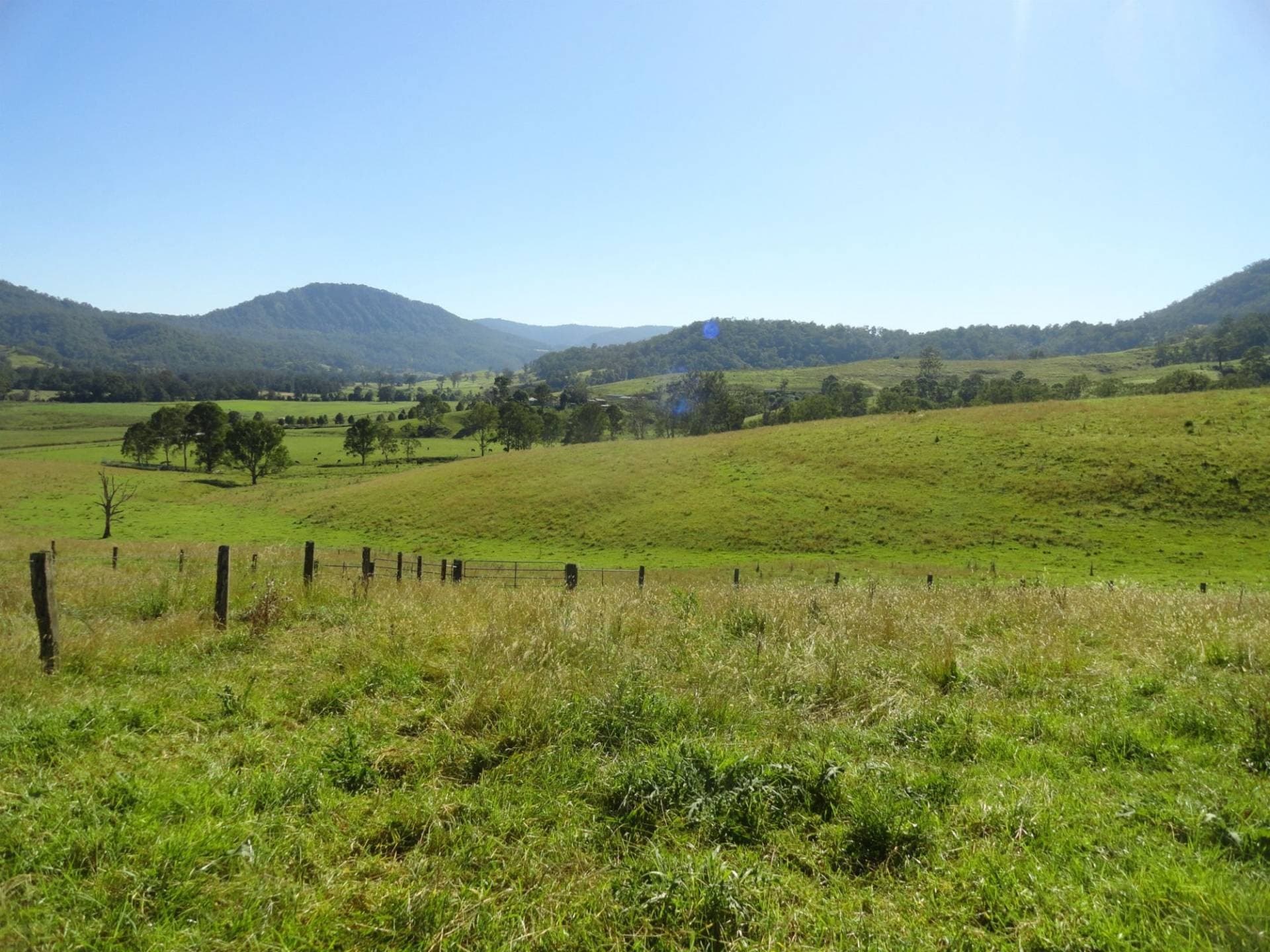 93 COLLINS VALLEY WAY St, Kyogle - Thumbnail 5