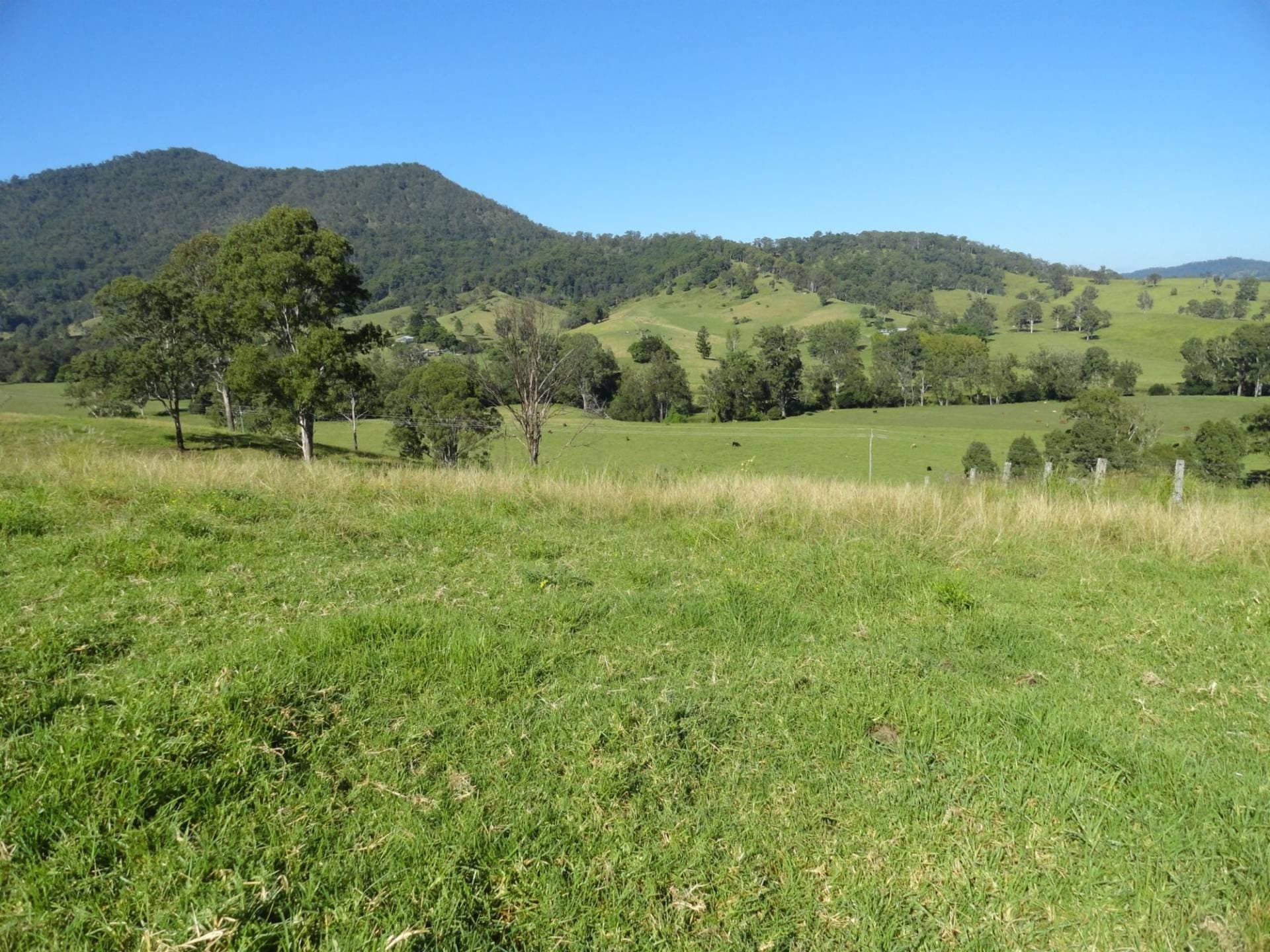 93 COLLINS VALLEY WAY St, Kyogle - Thumbnail 6