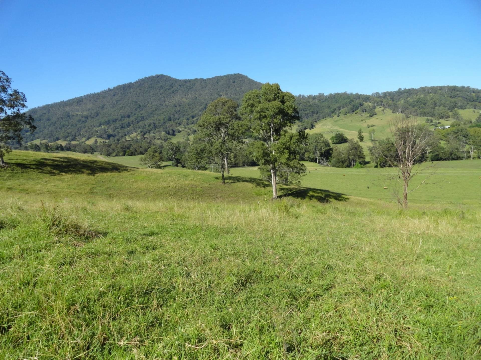 93 COLLINS VALLEY WAY St, Kyogle - Thumbnail 7