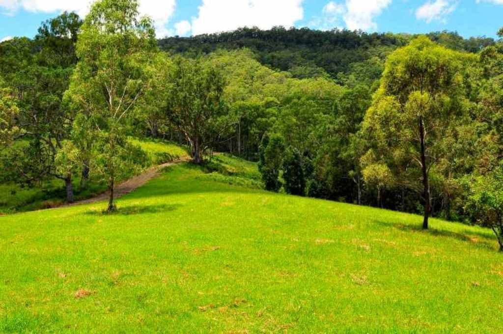 232 Boorabee Creek Road, Kyogle - Thumbnail 2