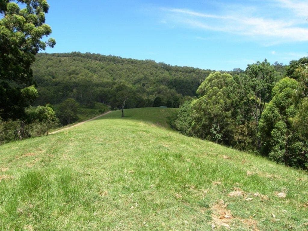 232 Boorabee Creek Road, Kyogle - Thumbnail 5