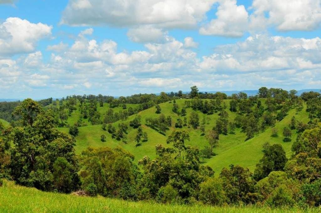 232 Boorabee Creek Road, Kyogle - Thumbnail 6