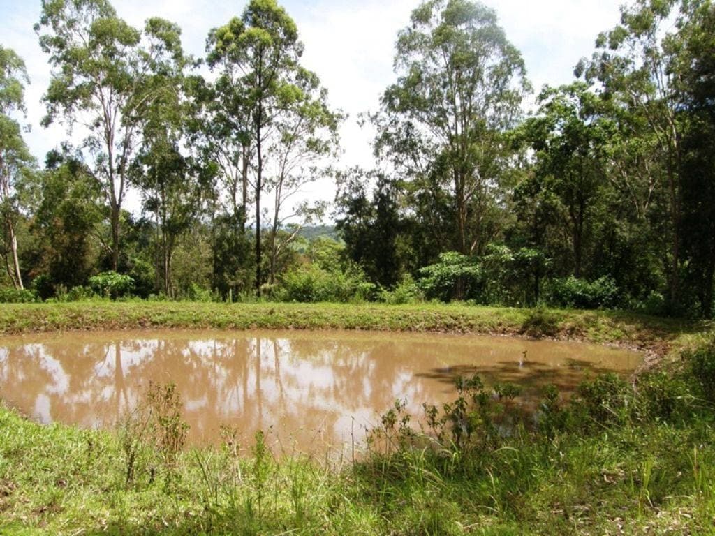 232 Boorabee Creek Road, Kyogle - Thumbnail 7