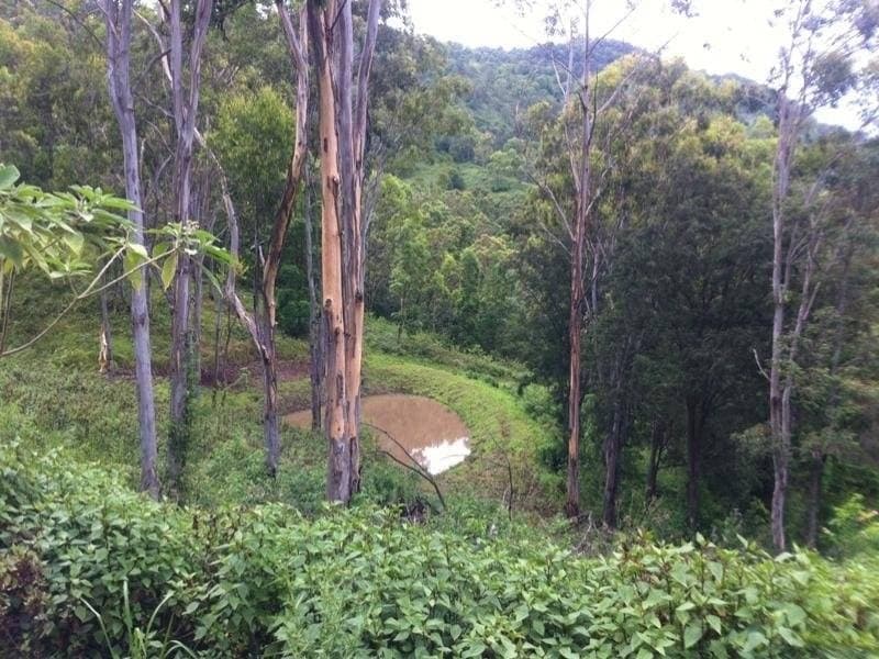 232 Boorabee Creek Road, Kyogle - Thumbnail 8