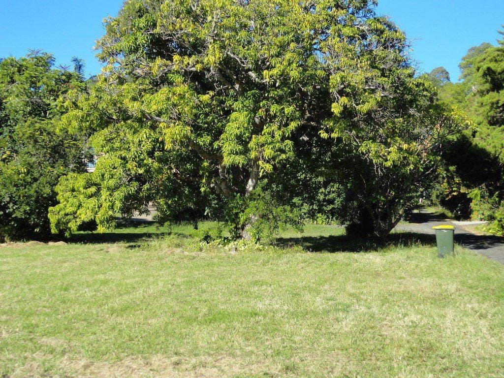 202 Summerland Way, Kyogle - Thumbnail 4