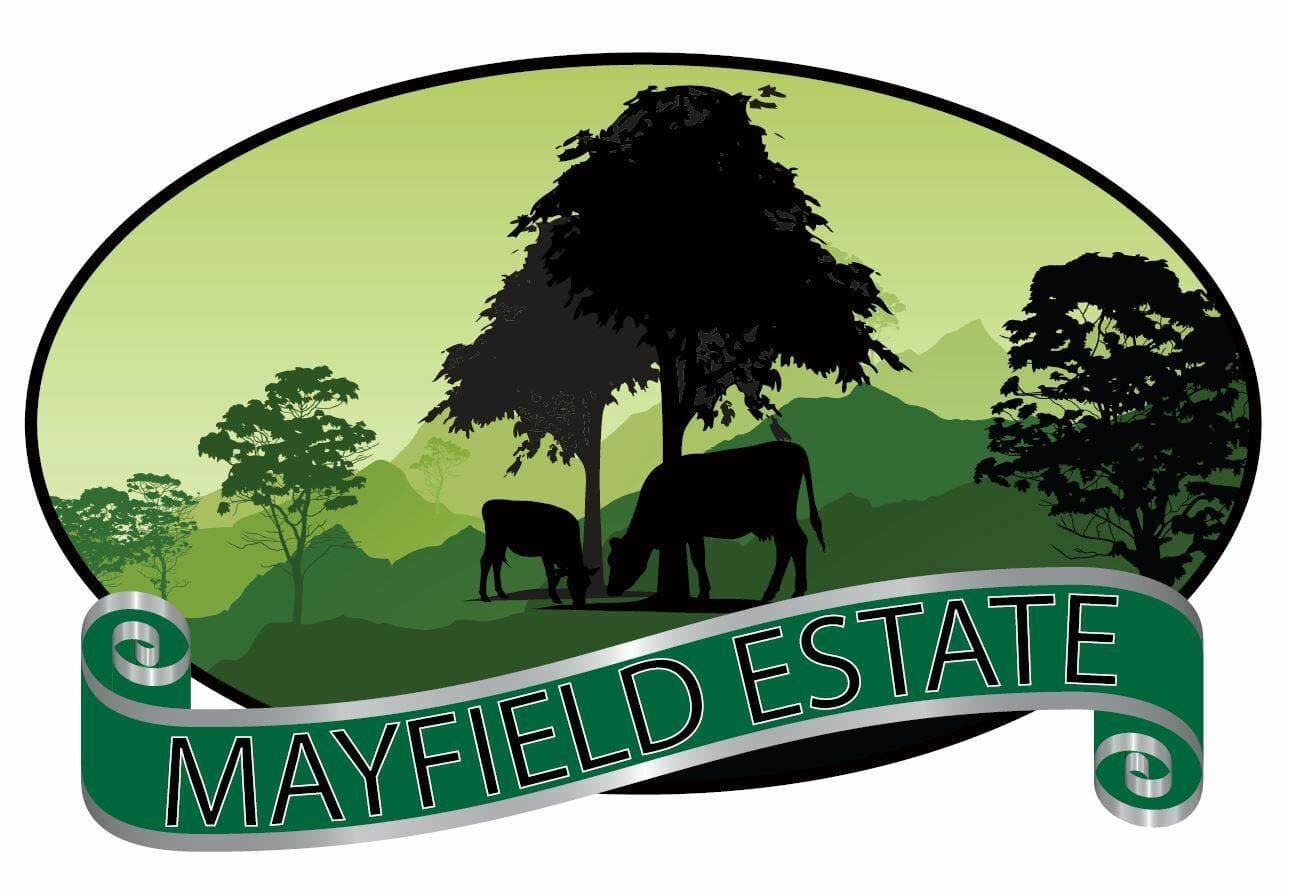 38 Howard Court, Kyogle - Thumbnail 7