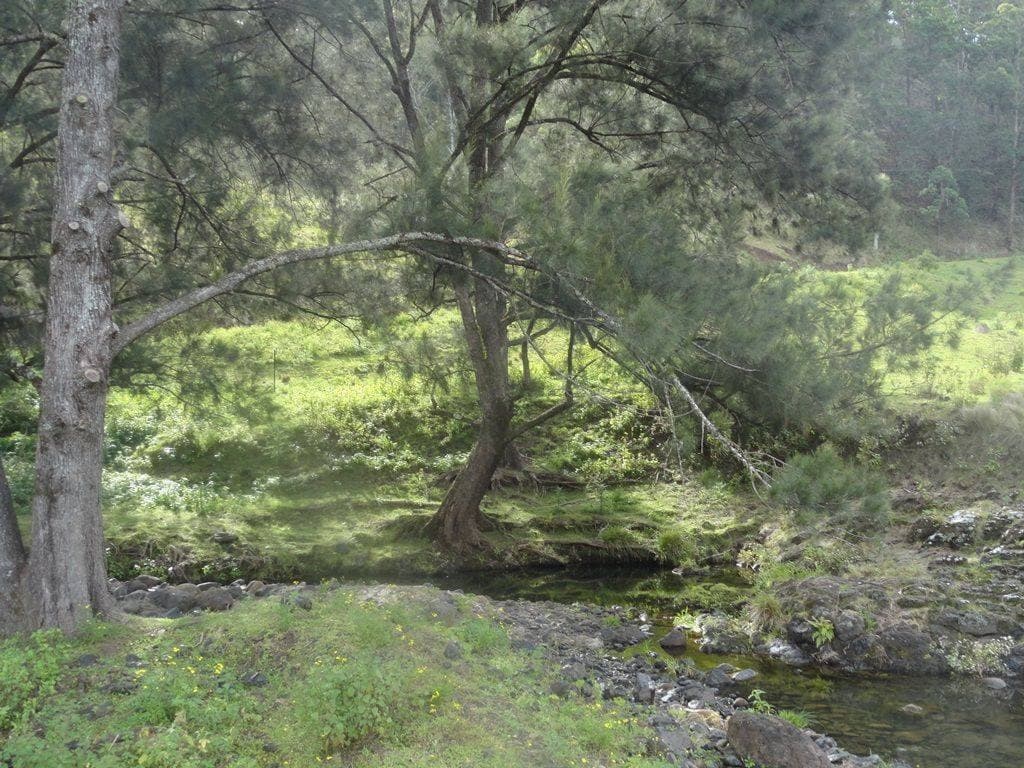400 LIONS ROAD COUGAL St, Kyogle - Thumbnail 6