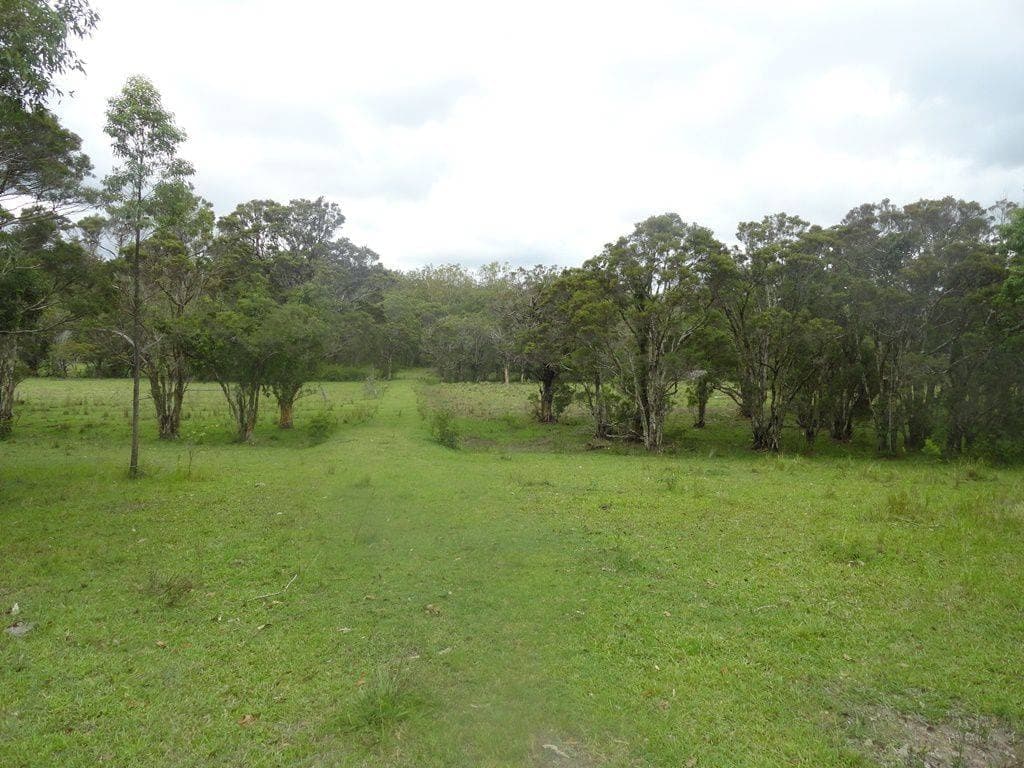 1440 DYRAABA ROAD St, Kyogle - Image 1