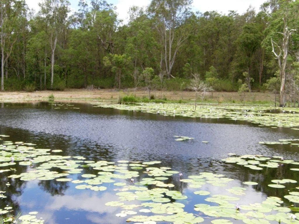 1440 DYRAABA ROAD St, Kyogle - Thumbnail 3