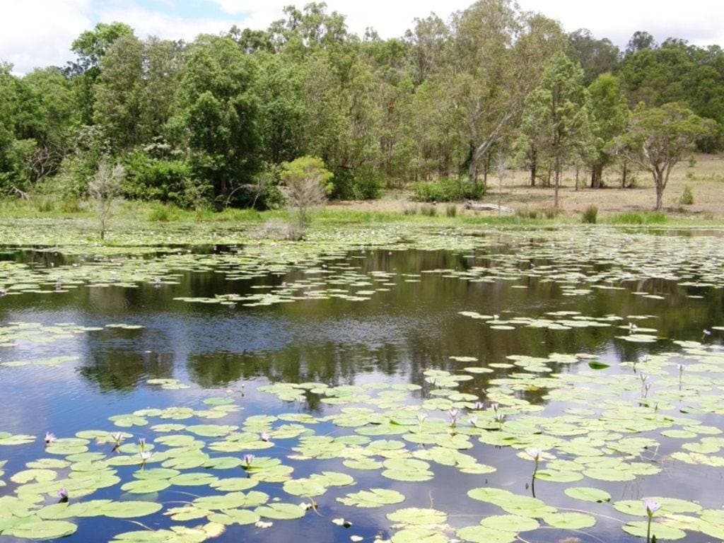 1440 DYRAABA ROAD St, Kyogle - Thumbnail 6