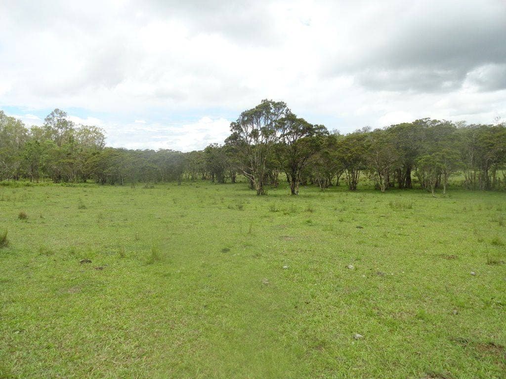 1440 DYRAABA ROAD St, Kyogle - Thumbnail 8